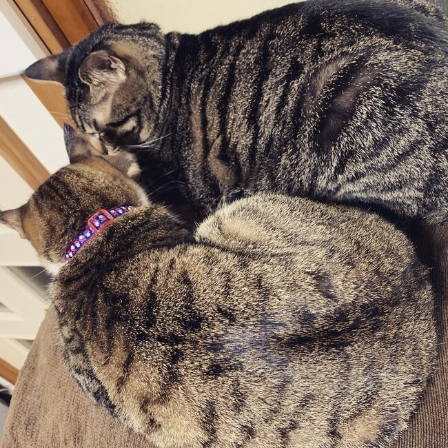 港区ミナトのカバー写真