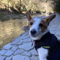 こな