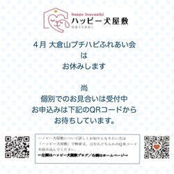 ※開催中止※大倉山プチハピふれあい会