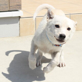 トライアル決定！