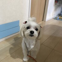 ゆう