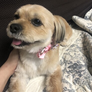 いい笑顔☆