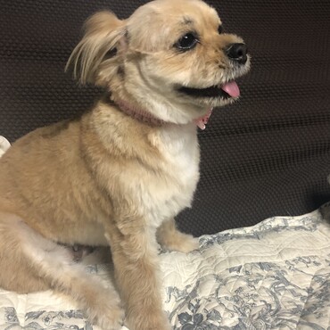 ニコニコ♡