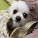 家族ができました！