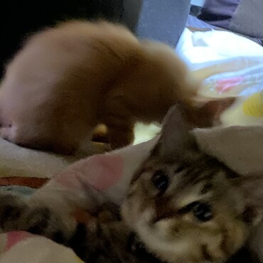 の写真