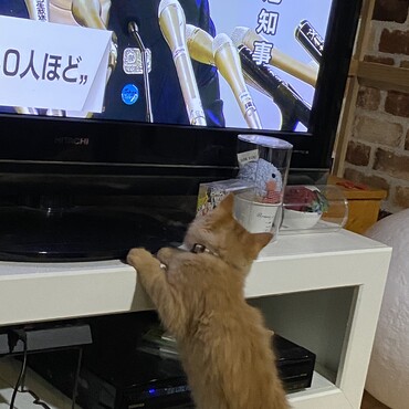 の写真