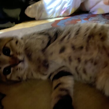 の写真