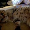 の写真