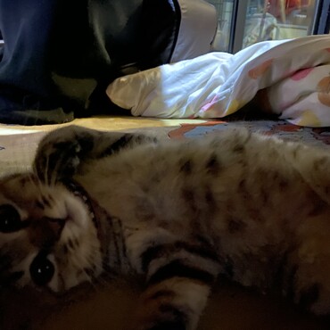 の写真
