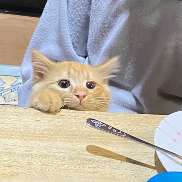 の写真