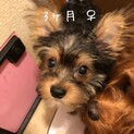 生後3ヶ月MIX