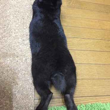 の写真