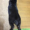 の写真