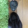 の写真