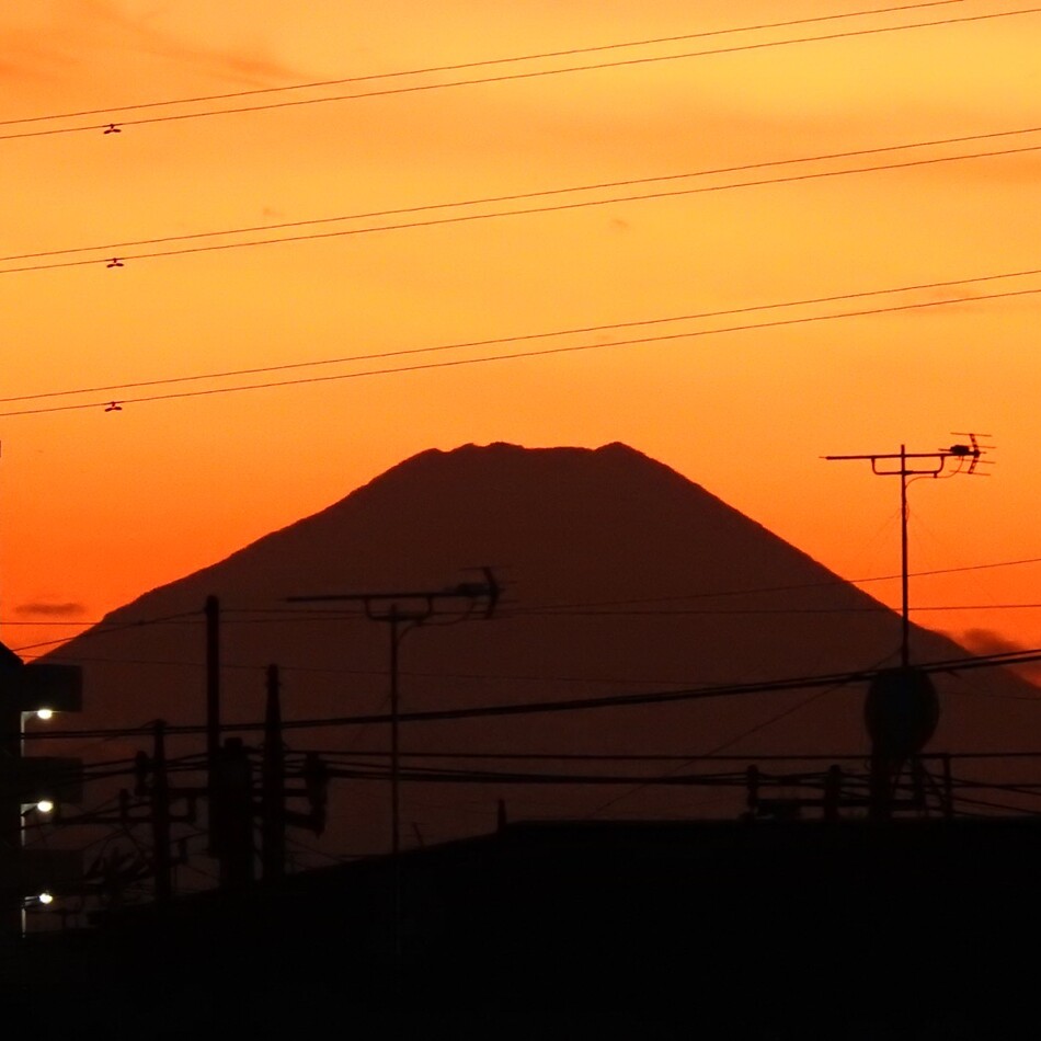 紅のカバー写真