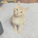 里親様募集中 !!