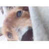 ネムネムな目、、可愛い、、