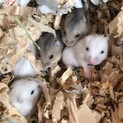 　無事きまりました。有難うございます。