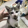 やましろやましろ山城