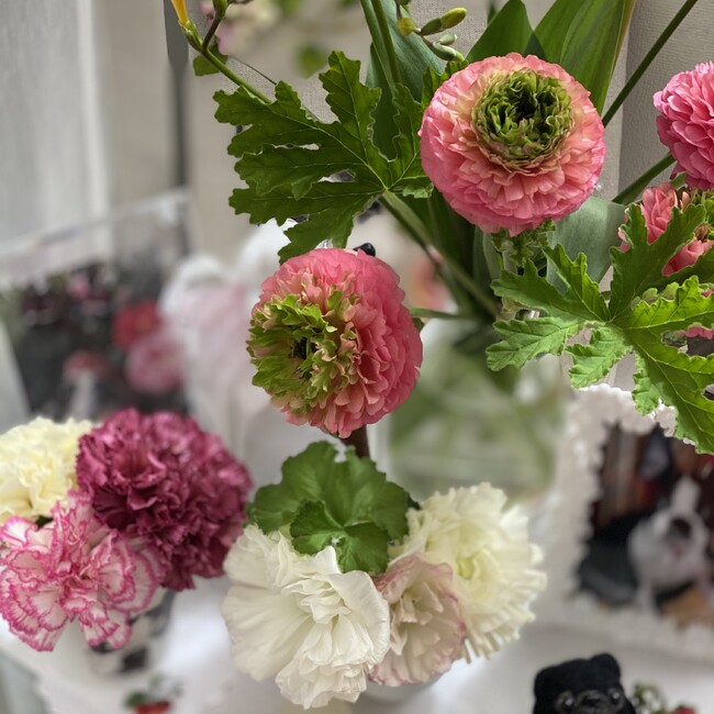 mikicolonのカバー写真