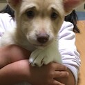 素敵な家族に巡り会えました