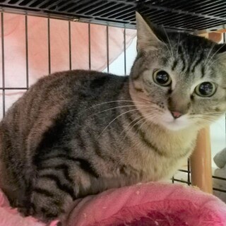 やっとスリスリまでたどり着きました！