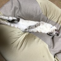 ルーク