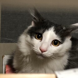 乳歯が抜けました！