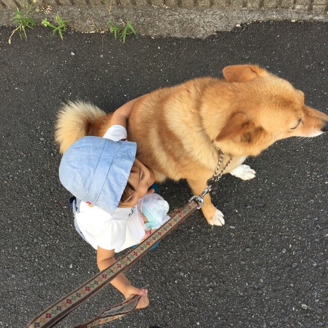 acco1226のカバー写真