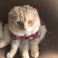 ソラ