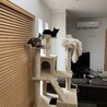 さきんせ