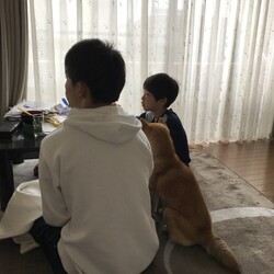 三兄弟