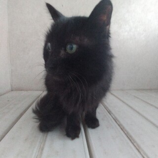 良い縁に恵まれました　ありがとうございました！