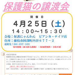 保護猫の譲渡会&チャリティーグッズ同時販売