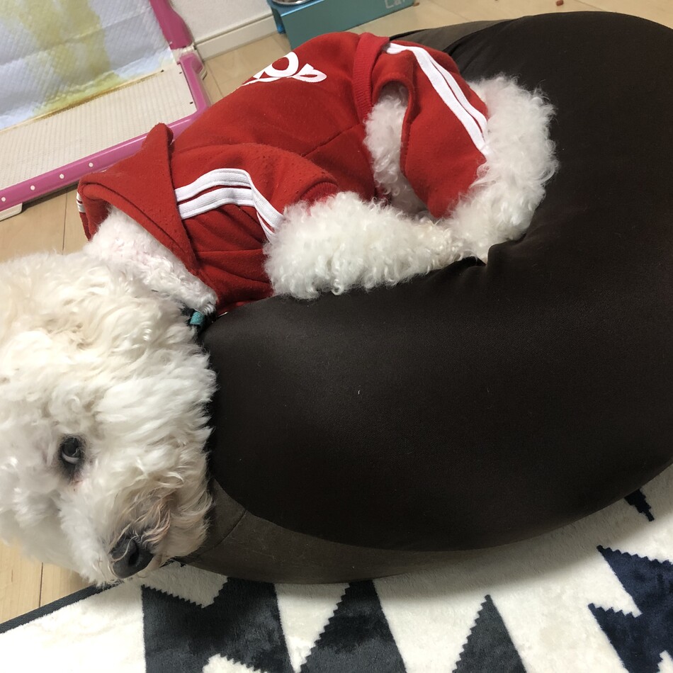 ラフのカバー写真