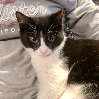 くりくりお目目のブリーズちゃん❣️