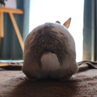 うーたん
