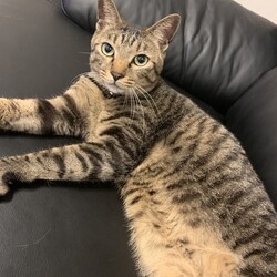 よつ葉の里親さん決まりました。