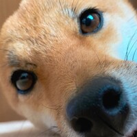 コロ