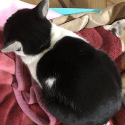 ５回目のフロントライン