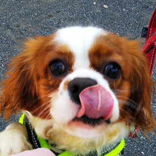 元気いっぱい！1歳のエネルギッシュなタケルくん