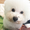 根岸まるこ