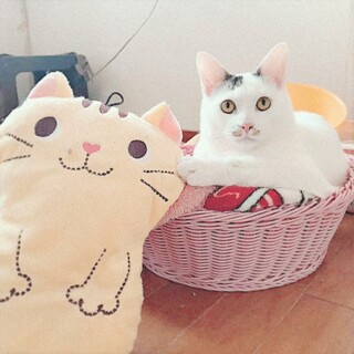 超フレンドリーな男の子・薬丸くん