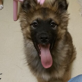少しにビビリの男の子