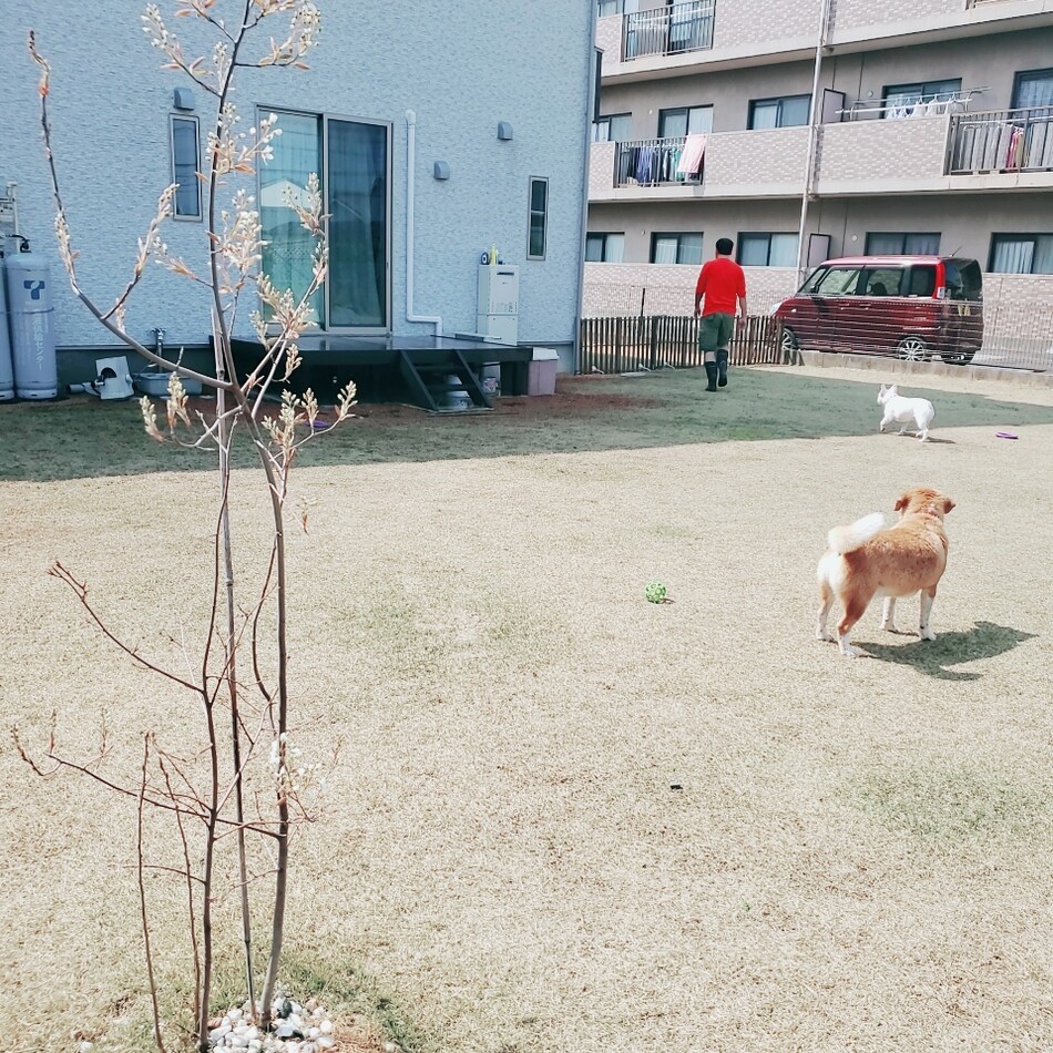 まゆのカバー写真