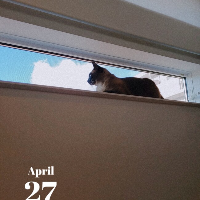 rossignolのカバー写真