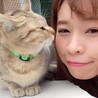 ちゃんよー。