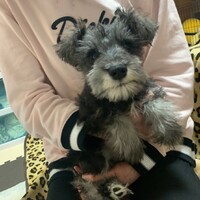 クロム
