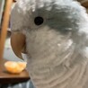 おっきーな