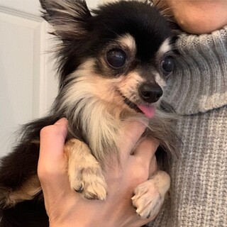 この子を助けてください。